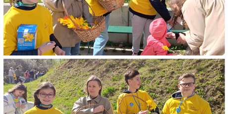 Powiększ grafikę: Uczniowie z żółtych koszulkach stoją z nauczycielem i  z koszami z żonkilami