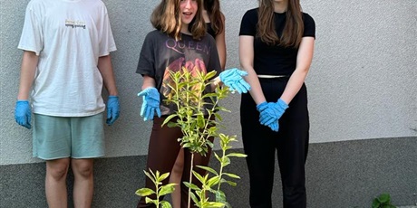 Powiększ grafikę: Uczennice i uczeń klasy 8d stoją przy drzewku azaliowym