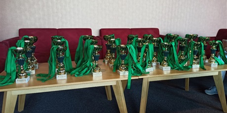 Powiększ grafikę: Puchary i medale na stole
