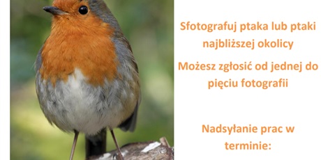 Przyrodniczy konkurs fotograficzny „Ptaki Gdańska i okolic” 
