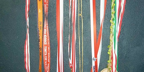 Powiększ grafikę: Medale Aleksandra wiszące na ścianie