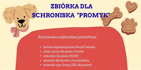 Zbiórka dla schroniska "Promyk"