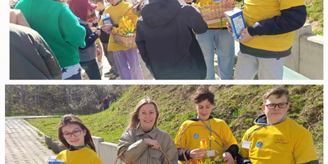 Powiększ grafikę: Uczniowie w żółtych koszulach z nauczycielem stoją z kosztami z żonkilami